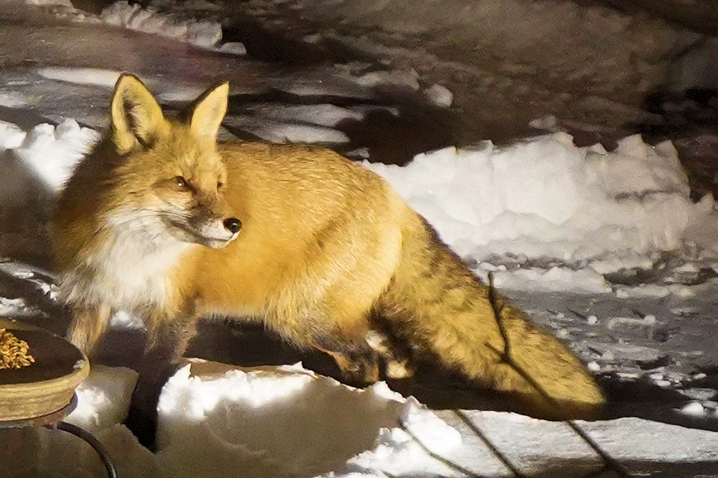 View of the ocean from the back patio at Oceansedge