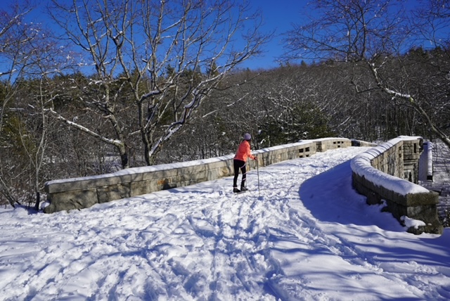 View of the ocean from the back patio at Oceansedge
