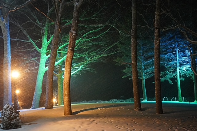 View of the ocean from the back patio at Oceansedge